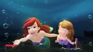 Sofia the First Ft Ariel  The Love We Share Bahasa Indonesia [upl. by Leaj]