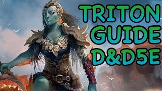 DampD5E TRITON GUIDE [upl. by Ahsienel]