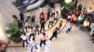 Propuesta Matrimonio Nini flashmob en Gran Plaza Mérida Yu [upl. by Nyl]