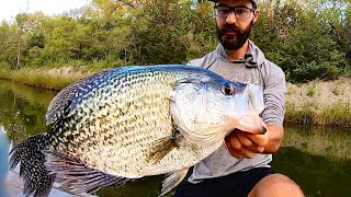 19 INCH 4 POUND CRAPPIE [upl. by Doowle]