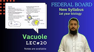 Vacuole  Vacuole structure and function  class 11 [upl. by Scevo193]