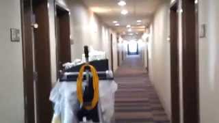 Full Hotel Tour BRAND NEW Hampton Inn amp Suites on Highway 6 in Missouri City TX [upl. by Ylrac]