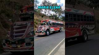 AUTOBUSES DE GUATEMALA SONIDO ORIGINALfeedshorts buses guatemala suscribete [upl. by Tamaru209]