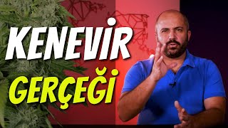 KENEVİR GERÇEĞİ  NEDEN YASAK ÜLKEMİZİ KURTARIR MI [upl. by Robinson]