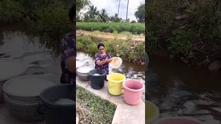 😢 Full Day Home Cleaning Day  வாய்க்கால் பக்கத்துல இருக்கரதால பொலச்ச nilakuttychannel minivlog [upl. by Trik]