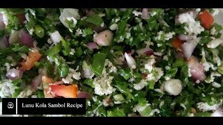 රසවත් ලුණුකොල සම්බෝලය  Lunu Kola Sambol Recipe [upl. by Rusel964]