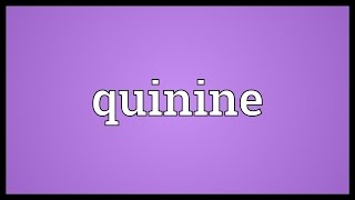 Quinine Meaning [upl. by Gnilyarg322]