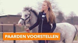 Paarden voorstellen met Esra  PaardenpraatTV [upl. by Lucic]