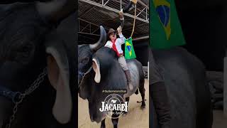 🔥💥Jacarei Expo Agro 2024🔥💥 🤠🚀Arthur Berranteiro Oficial🤠🚀 🇧🇷🇧🇷 tradição Peão de Boiadeiroshorts [upl. by Atinid]