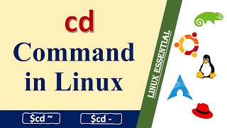 Learn How the cd Command Changes Your Directory in Linux [upl. by Elleined]