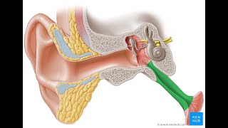 Evaluating the Eustachian Tube Function in Chronic Suppurative Otitis Media in Reference to its Trea [upl. by Ellenaej]