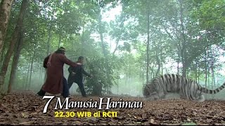 7 MANUSIA HARIMAU  Ketika dua Harimau putih melawan musuhnya [upl. by Nilson450]