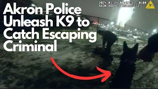 Akron Police Unleash K9 to Catch Escaping Criminal [upl. by Aldrich]