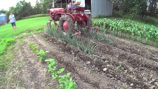 Dad cultivating grandpas garden with a 1949 Farmall Cub [upl. by Errised]