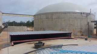 Thailnd 1MW biogas plant [upl. by Perrins]