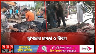 পশুর চামড়া কিনে বিপাকে মৌসুমি ব্যবসায়ীরা  Leather  Tannery  Somoy TV [upl. by Aisena]