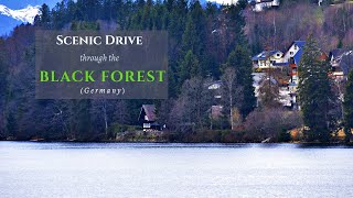 Scenic drive through the Black Forest  Lake Titisee  TitiseeNeustadt  Freiberg  Germany [upl. by Lotta]