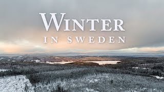 Winter in Sweden  1 Day Roadtrip 4K Drone [upl. by Eidnak]