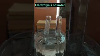 Electrolysis of water electrolysis class10 experimentviral trending practical science ncert [upl. by Rutger]