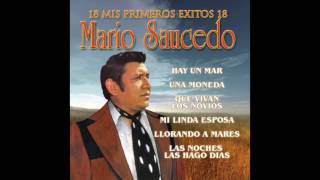 Mario Saucedo  Mis Primeros 18 Exitos Disco Completo [upl. by Livi793]