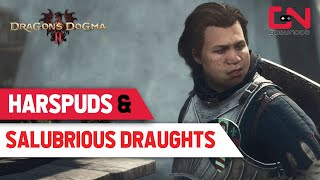 How to Get Harspuds amp Salubrious Draughts in Dragons Dogma 2 The Provisioners Plight [upl. by Lael]