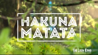 Hakuna Matata  Disneys THE LION KING Official Lyric Video [upl. by Sherm]