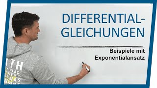 Differentialgleichung lösen  Exponentialansatz 2 Beispiele  Mathe by Daniel Jung [upl. by Sinnaoi]