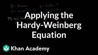 Applying the HardyWeinberg equation  Biomolecules  MCAT  Khan Academy [upl. by Samanthia727]