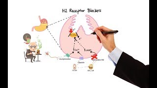 Pharmacology  ANTIHISTAMINES MADE EASY [upl. by Adnahcir998]