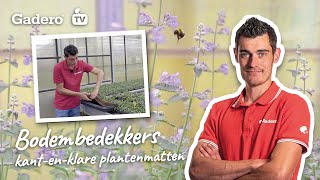 191 Kantenklare bodembedekkers  plantenmatten [upl. by Xxam]