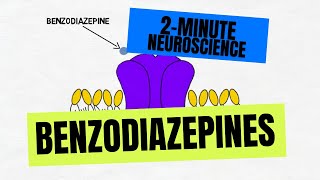 2Minute Neuroscience Benzodiazepines [upl. by Allebara635]