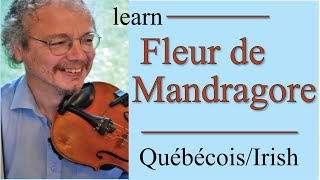 Fleur de Mandragore fiddle lesson [upl. by Adnicul587]