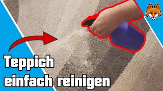 Teppich reinigen mit Backpulver  Schneller Trick 💧 [upl. by Sellma439]