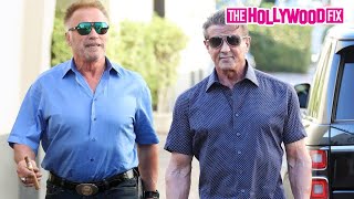 Sylvester Stallone amp Arnold Schwarzenegger Speak On Creed 3 While Leaving Lunch In Beverly Hills [upl. by Hibbert]