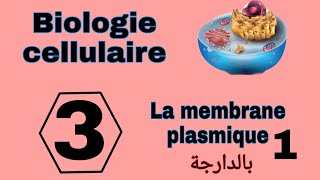 شرح بالدارجة لدرس membrane plasmique L1 من مادة Biologie cellulaire S1 Snv سنة اولى تخصص بيولوجي [upl. by Deutsch]