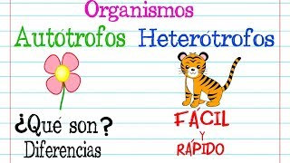 Organismos 🌿AUTÓTROFOS Y HETERÓTROFOS🐝 Fácil y Rápido  BIOLOGÍA [upl. by Enymsaj]