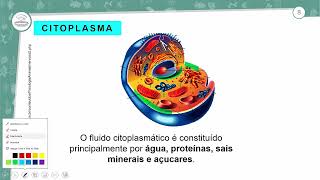 231  CITOPLASMA DAS CÉLULAS PROCARIONTES E EUCARIONTES  BIOLOGIA  1º ANO EM  AULA 2312024 [upl. by Ferrand]