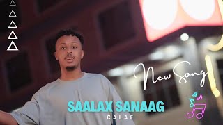 Saalax Sanaag  Calaf  Hees Cusub 2024 [upl. by Anewor]