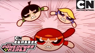 The Rowdy Ruff Boys  The Powerpuff Girls Classic  Cartoon Network [upl. by Ahsatak]