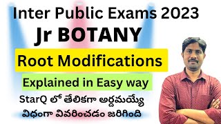 Root Modifications Explained in Easy Way  Inter Public Exams 2023 Special [upl. by Adnalahs]