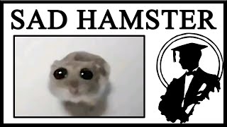 Why Is The Sad Hamster So Sad [upl. by Zobe391]