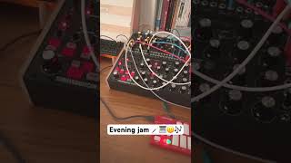 Jam with intellijel cascadia pittsburghmodular Taiga ampMoogSynthesizers subharmonicon [upl. by Seaden]