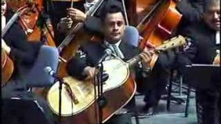 VIOLIN HUAPANGO MARIACHI VARGAS DE TECALITLAN [upl. by Rebmik208]