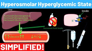 Hyperosmolar Hyperglycemic Nonketotic Syndrome  Panmedicad [upl. by Yadseut]