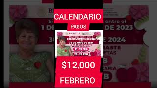 CALENDARIO PAGO FEBRERO 12000 ADULTOS MAYORES noticias viral viralvideo viralshorts [upl. by Yaf]