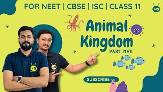 Animal Kingdom  Hemichordata  Chordata  Zoology  NEET  CBSE [upl. by Fredette]