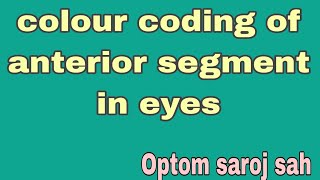 colour coding of anterior segment in eyes [upl. by Richardson507]