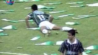 Palmeiras 11 Corinthians Palmeiras Campeão Brasileiro de 1994 [upl. by Arreyt285]