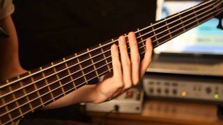 TESSERACT  quotAprilquot Bass Video [upl. by Acissaj]