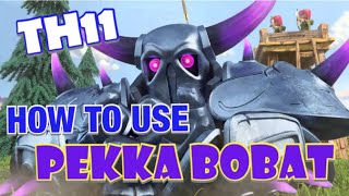 TH11 How to Use PEKKA BOBAT  Best TH11 Attack Strategy in Clash of Clans [upl. by Horick]